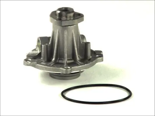 THERMOTEC D1W026TT Насос