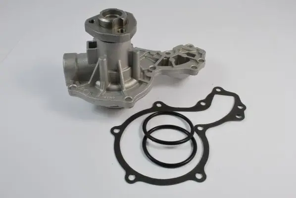 THERMOTEC D1W027TT Насос