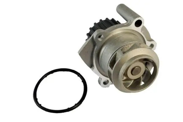 THERMOTEC D1W038TT Насос