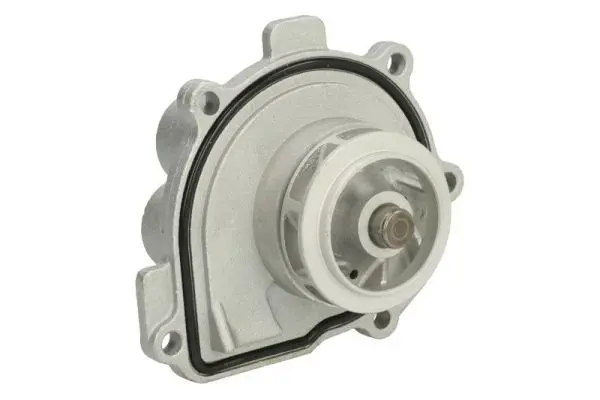 THERMOTEC D1X047TT Водяной насос