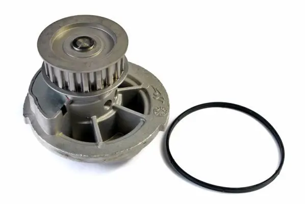 THERMOTEC D1X048TT Насос