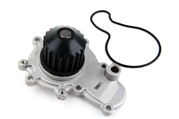 THERMOTEC D1Y002TT Насос