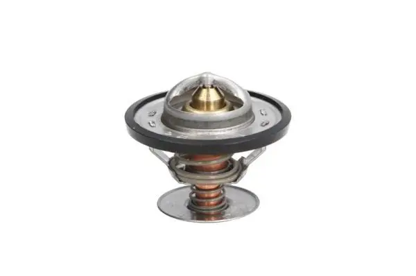 THERMOTEC D2G001TT Термостат