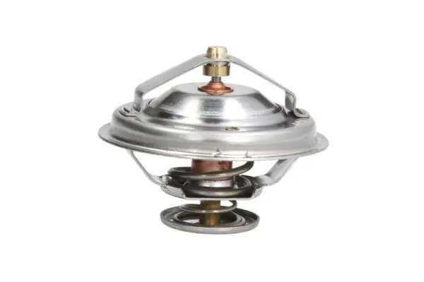 THERMOTEC D2M003TT Термостат