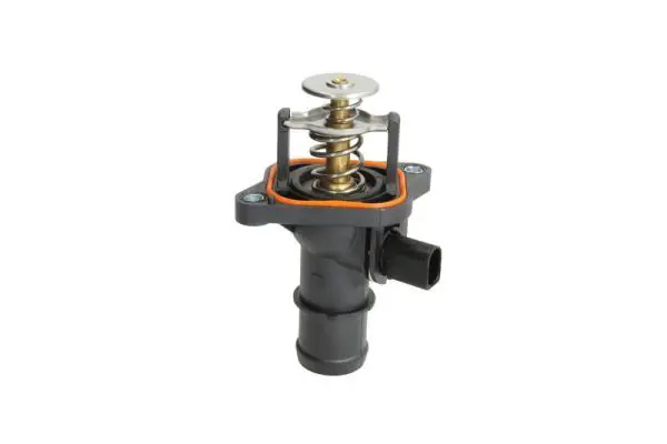 THERMOTEC D2T005TT Термостат, охлаждающая