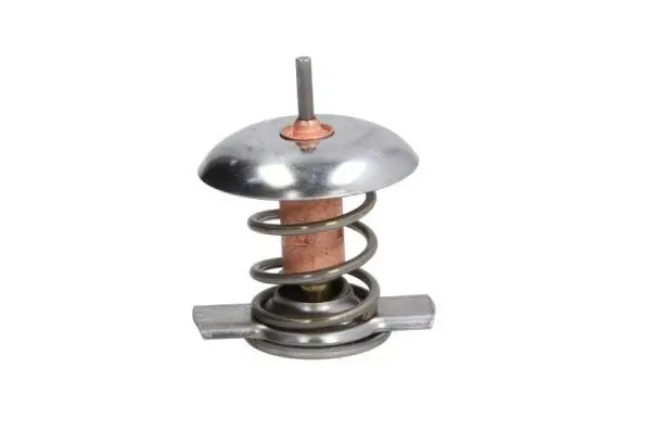 THERMOTEC D2X005TT Термостат
