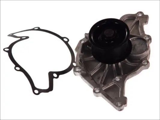 THERMOTEC D1W047TT Насос