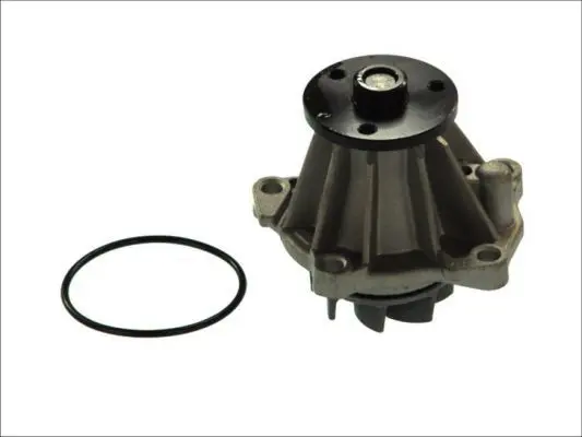 THERMOTEC D1G033TT Насос