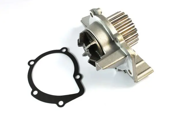 THERMOTEC D1F061TT Насос