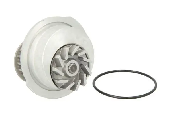THERMOTEC D1X012TT Водяной насос