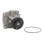 THERMOTEC D1G042TT