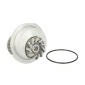 THERMOTEC D1X012TT