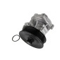 THERMOTEC D1G056TT
