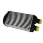 DAF002TT THERMOTEC Теплообменник