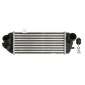 DA05002TT THERMOTEC Интеркулер