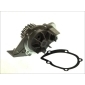 D1P045TT THERMOTEC Насос