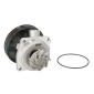 D1F065TT THERMOTEC Насос