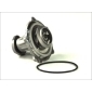 THERMOTEC D1W026TT