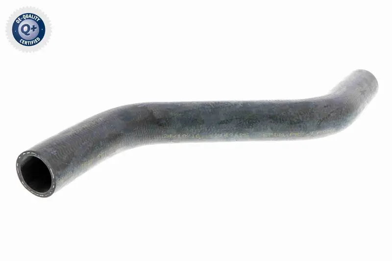 V100053 