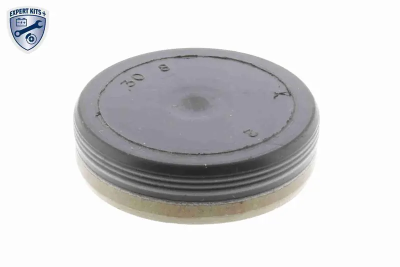 V302054 