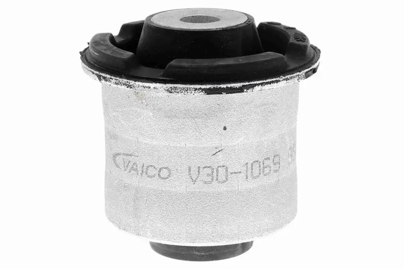 V301069 