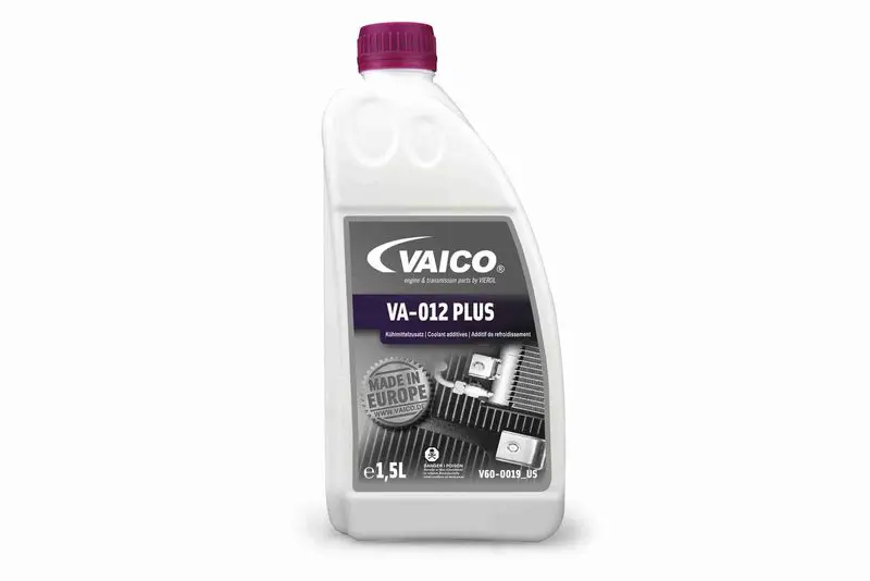 V600019US 