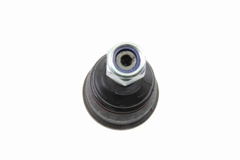 V307209 