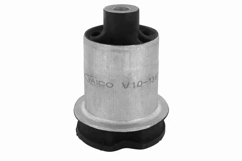 V101363 