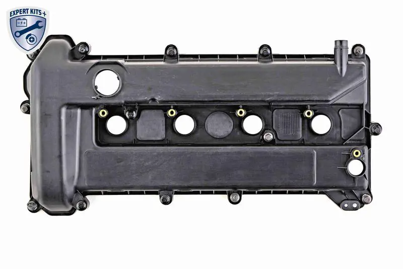VAICO V251179 Капот