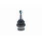 VAICO V100781