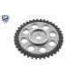 VAICO V1010030