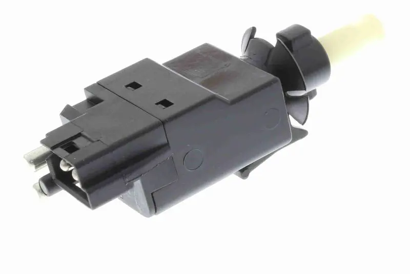 V30730081 