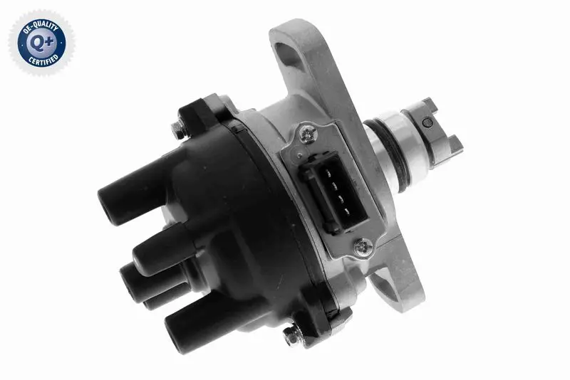 V51700024 