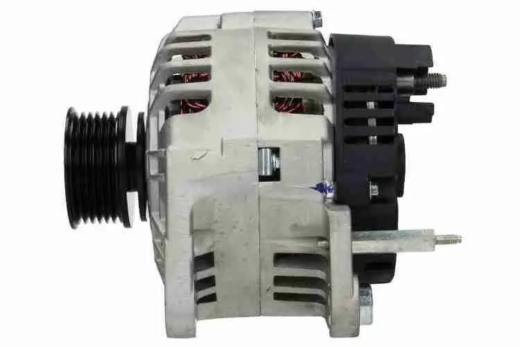 V101344380 