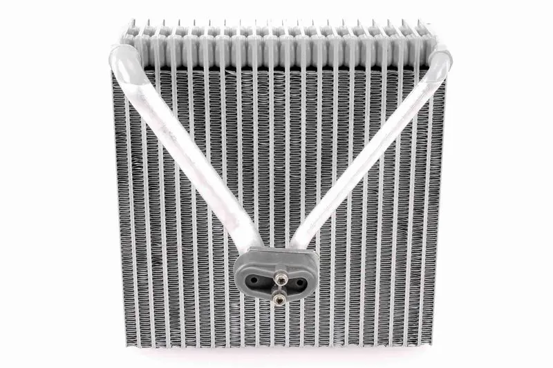 V10650022 