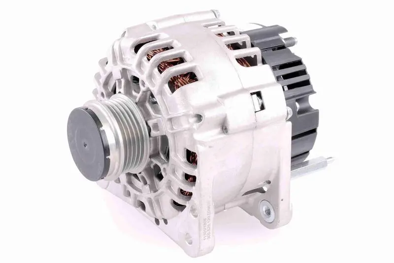 V101342830 