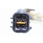 VEMO V52760019