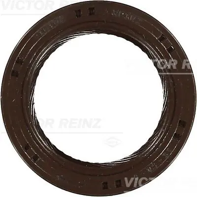 VICTOR REINZ 815324600 Уплотняющее кольцо, коленчатый