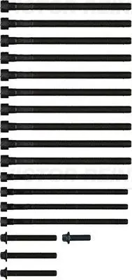 14-10427-01 Комплект болтов ГБЦ BMW X6