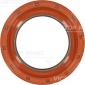 813760100 Сальник VICTOR REINZ Fiat