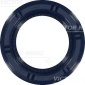 VICTOR REINZ 815349100