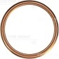VICTOR REINZ 417205330