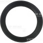 VICTOR REINZ 713606100