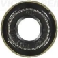 VICTOR REINZ 704274100