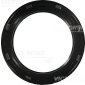 VICTOR REINZ 813803100