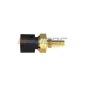 AUGER 71952