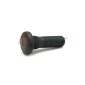 AUGER 77319