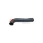 AUGER 56231