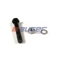 AUGER 53553