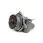 AUGER 85079